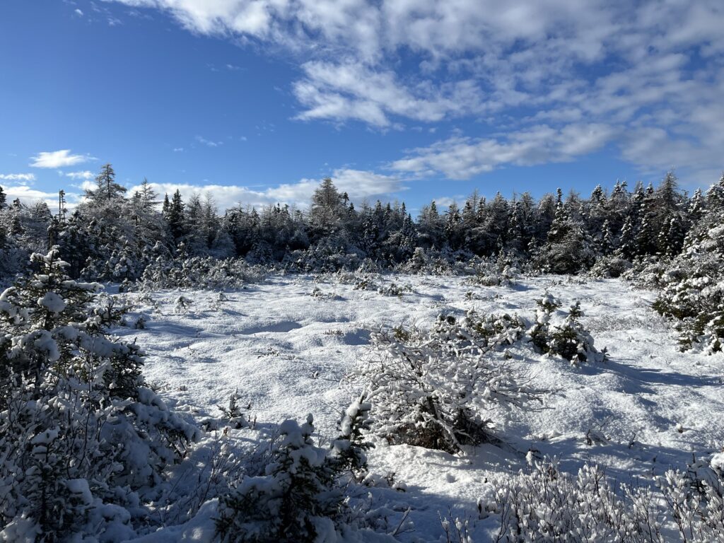 imagem de uma cena de neve num dia lindo de sol no auge do inverno canadense