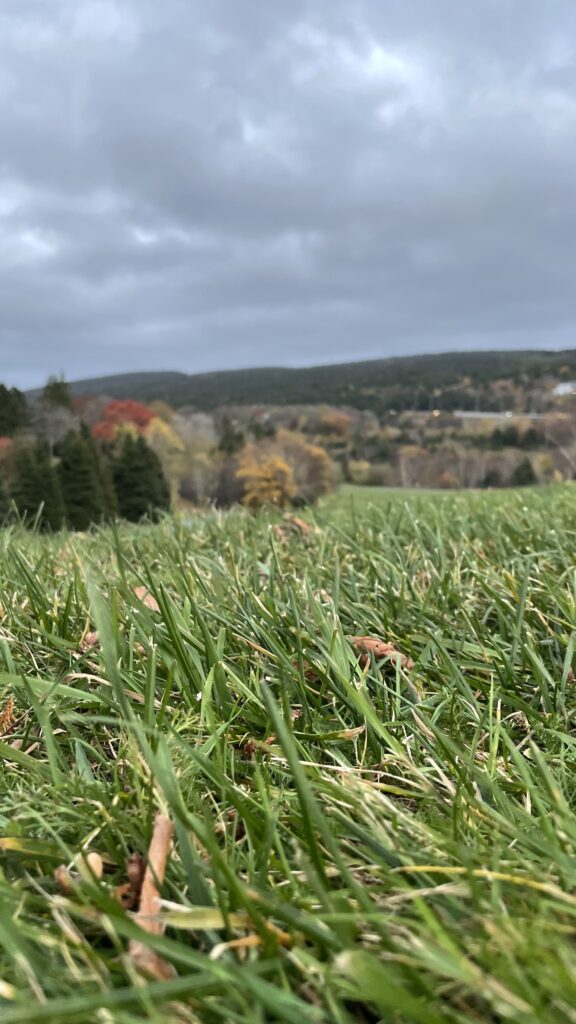 fall in Canada